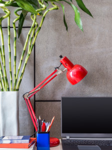 Laptop, lamp with vase of Lucky bamboo in modern room
